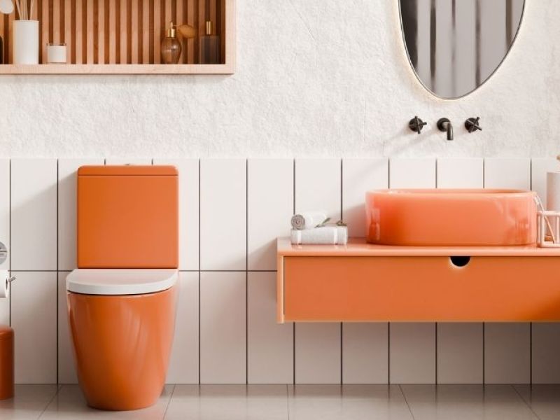 wp-content/uploads/2026/07/etoos-Coloured-toilet-seats.jpg